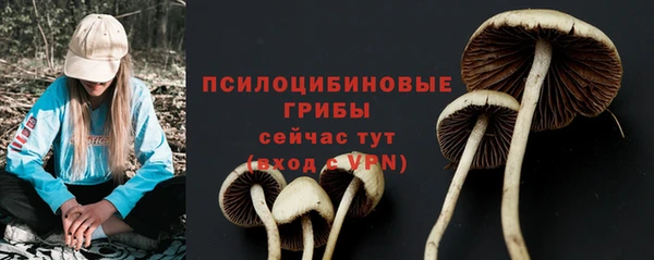 mix Богородицк