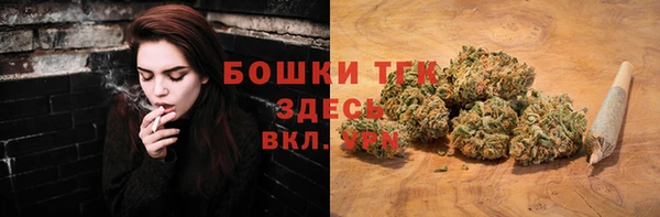 mix Богородицк