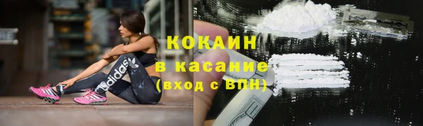 mix Богородицк