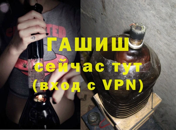 дживик Бородино