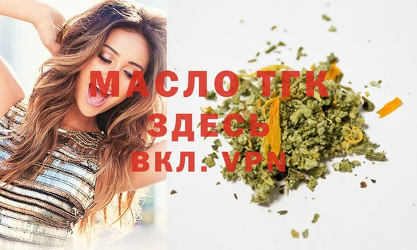 mix Богородицк