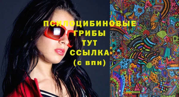 mix Богородицк