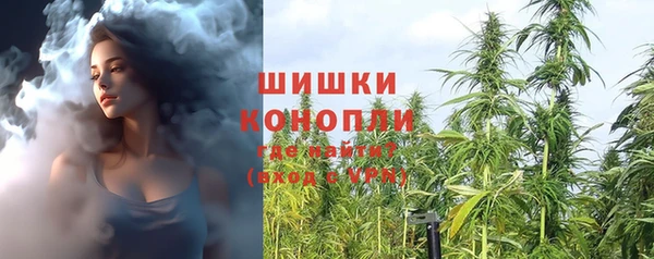 mix Богородицк