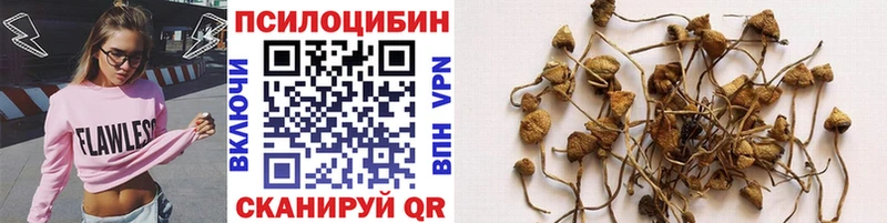 как найти закладки  Реутов  Псилоцибиновые грибы Psilocybe 